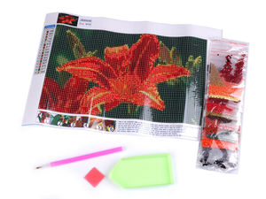 Diamond Painting Set 20x30 cm