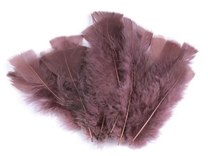 Farbige Truthahnfedern Länge 11-17 cm