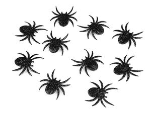 Aufbügler Spinne