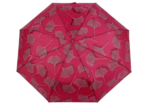 Eleganter Damen-Taschenschirm mit Automatik - Winddichter Regen- und Sonnenschirm mit Ginkgoblatt-Muster