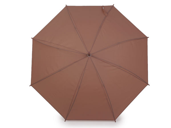 Eleganter Damen-Stockschirm mit Aufautomatik - Transluzentes Glockendach, windfester 8-teiliger Rahmen