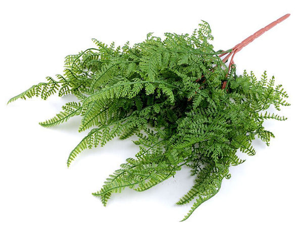 Naturgetreue künstliche Farnzweige für Kränze, Gestecke & Ikebana - Bastelbedarf Zweite Wahl