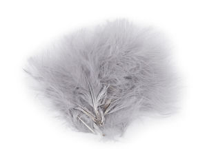 Marabufedern Länge 5-12 cm