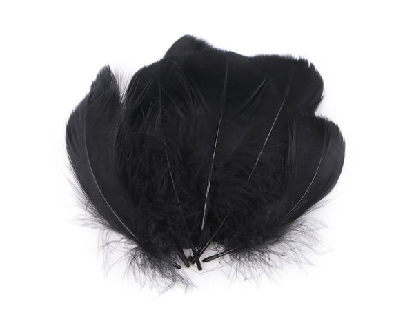 Premium-Straußenfedern (6-11 cm) – 20er-Pack für Bastelarbeiten, Floristik und Hochzeiten