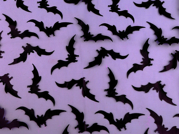 Chiffon-Strickstoff, Fledermaus