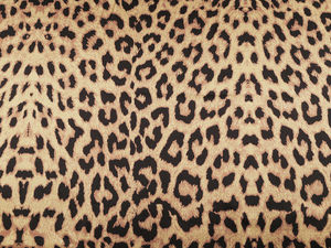 Elastischer Satin mit Tiermuster