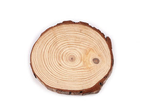 Unbehandelte Baumscheibe aus Naturholz - 16 cm runde Astscheibe mit Rinde für Bastelarbeiten, rustikale Untersetzer und Heimdeko