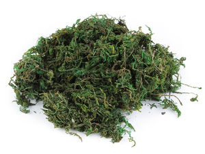 Dekoratives Naturmoos 250 g