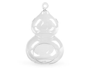 Premium Glas-Aerarium (10x16 cm) - Elegantes Tisch- und Hänge-Terrarium für Sukkulenten, Luftpflanzen und kreative Wohndekoration