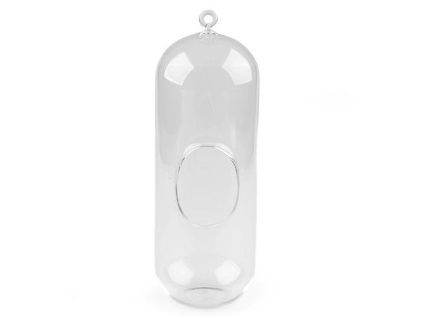 Premium Glas-Aerarium Zylinder - 10,5 x 29 cm Glasterrarium zum Hängen und Aufstellen