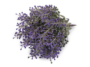 Künstliche Beeren / Bund für Blumentöpfe und Schleifen