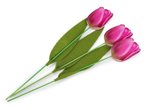 Premium Tulpen-Dekostecker aus Holz für Bastelarbeiten und Frühlingsgestecke