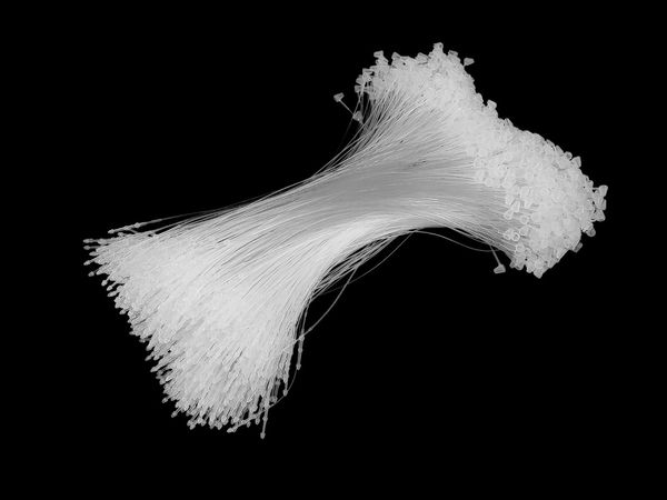 Transparente Sicherheitsfäden mit Schnappverschluss (17 cm) - Manuelle Etikettierfäden für Einzelhandel und Schmuck, 1000 Stück