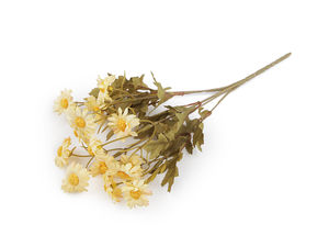 Realistischer künstlicher Gänseblümchen-Strauß mit Stiel - Naturgetreues Kunstblumen-Bund für Kränze, Gestecke und Heimdekor