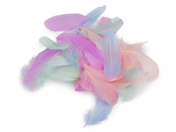 Premium Natur-Gänsefedern Mix (8–13 cm) – Dekorative Bastelfedern