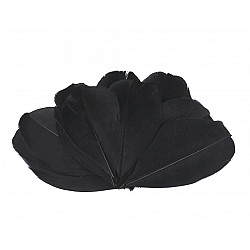 Dekorative Gansfedern, Länge 5-7 cm (10-teiliges Paket) - Schwarz