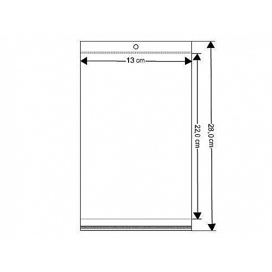 Verschlußbeutel Klarsicht mit Klebestreifen zum Aufhängen 13x22cm (Packung 100 Stück) - Transparent